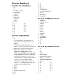 Holt Science And Technology Interactions Of Living Things Answer Key