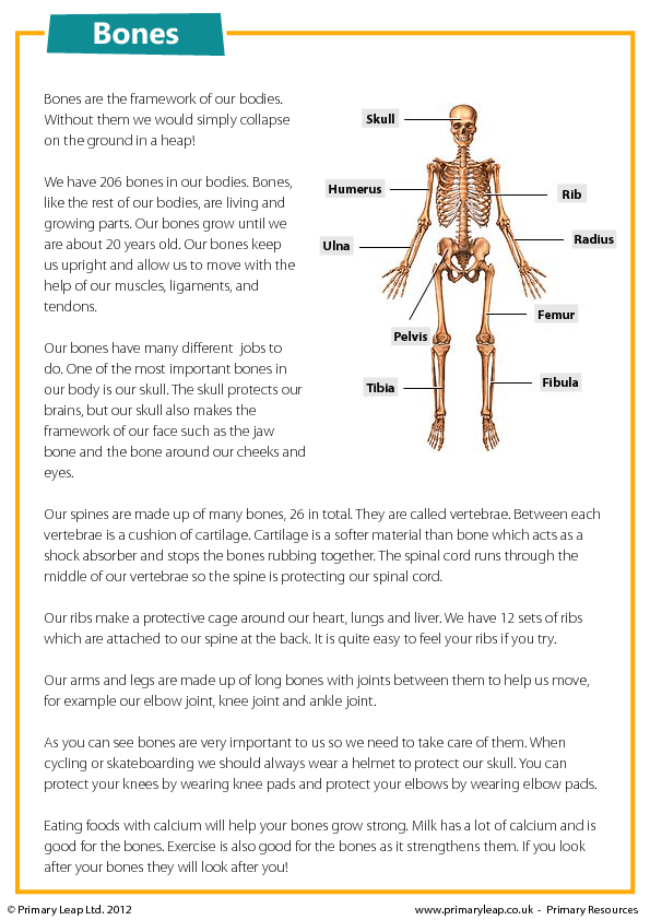 Human Body Reading Comprehension