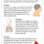 Human Body Reading Comprehension