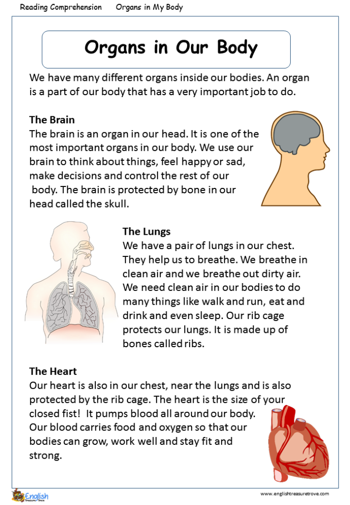 Human Body Reading Comprehension