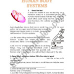 HUMAN BODY SYSTEMS READING COMPREHENSION ESL Worksheet By Glomar