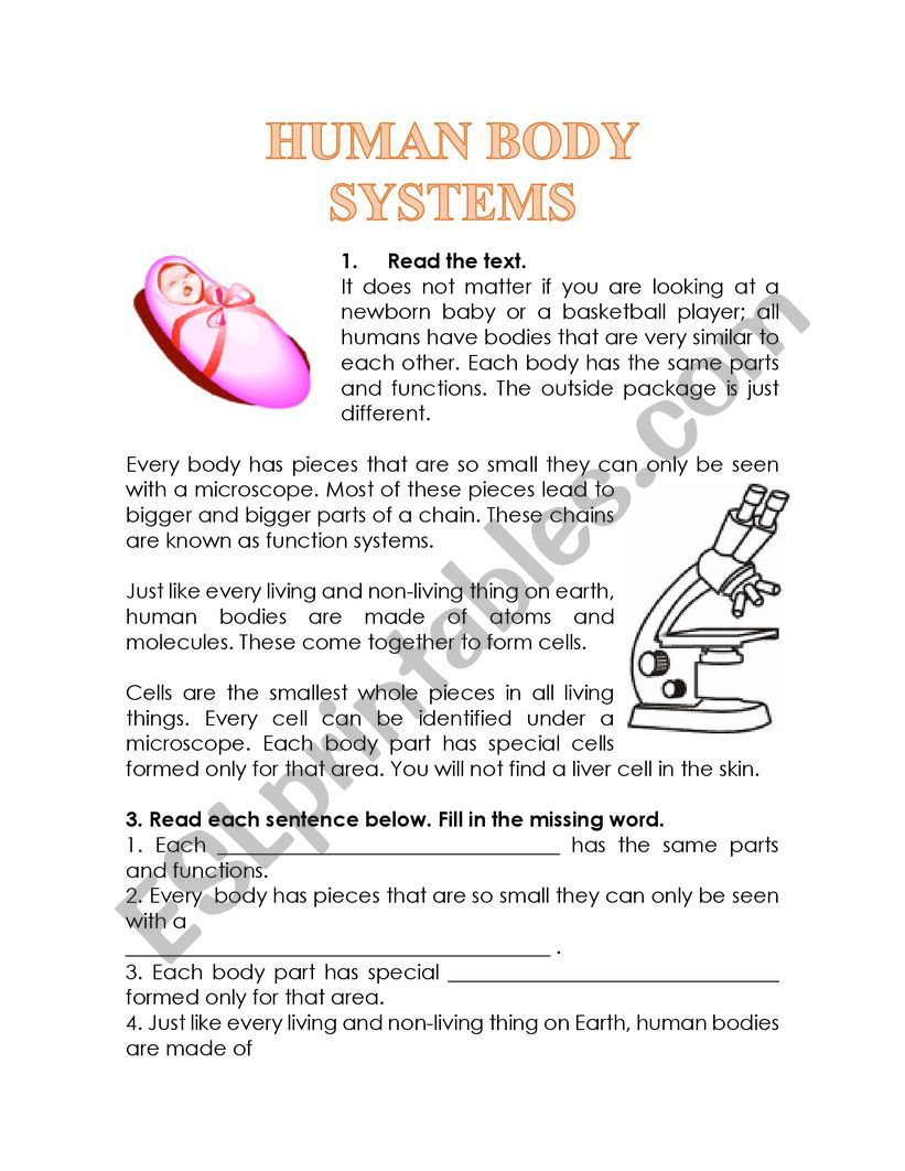 HUMAN BODY SYSTEMS READING COMPREHENSION ESL Worksheet By Glomar