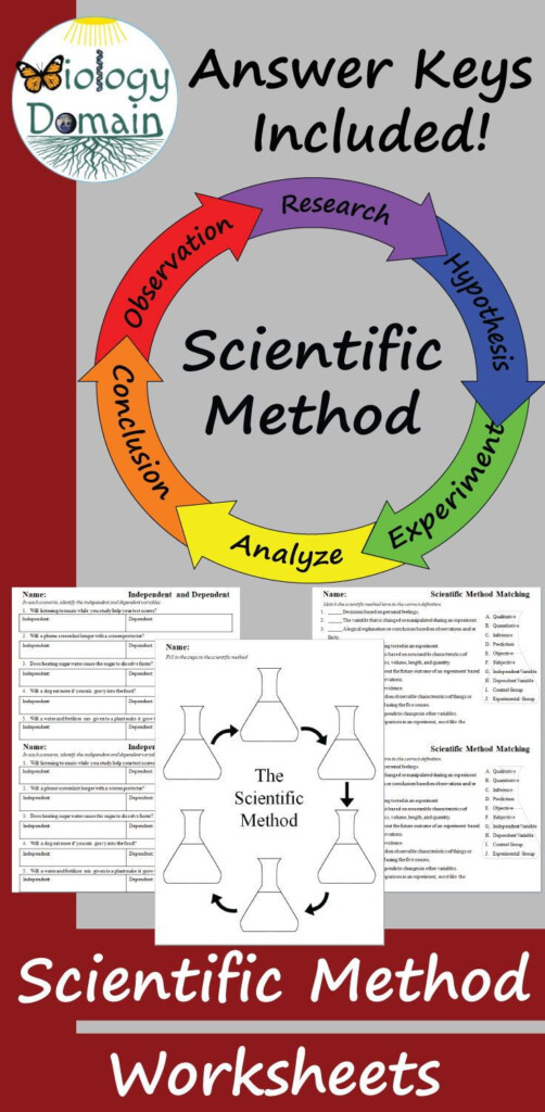 Identifying Parts Of An Experiment Worksheet Answer Key