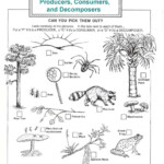 Integrating Earth Science Worksheet Organisms