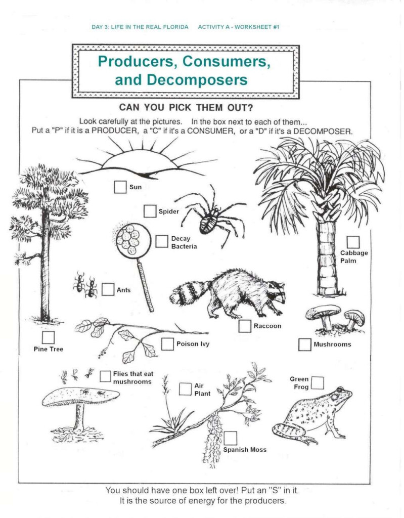 Integrating Earth Science Worksheet Organisms