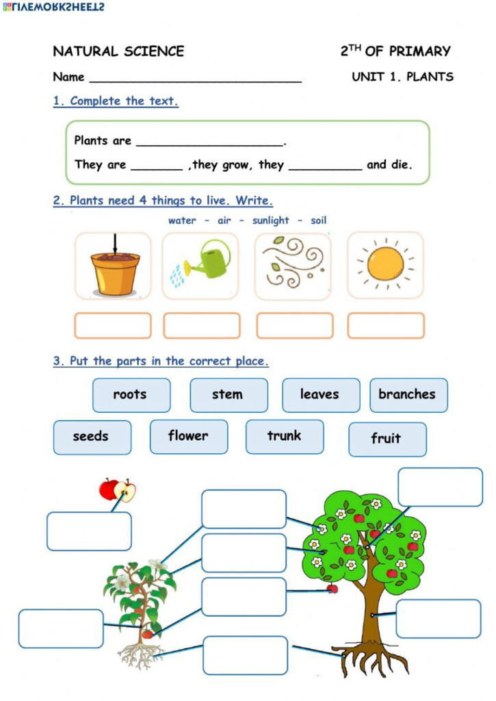 Interactive Science Activities