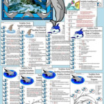 Introduction To Marine Science Worksheet