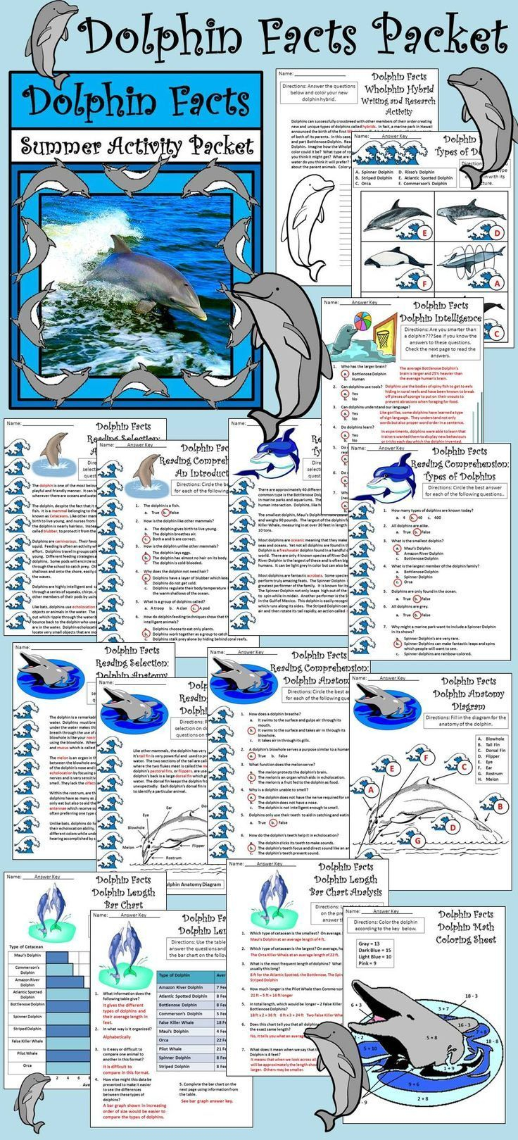 Introduction To Marine Science Worksheet
