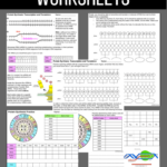 It s Not Rocket Science 2022 Worksheet Answers Scienceworksheets