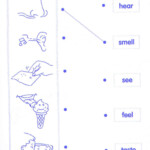 Koh Lee Ching D 20102041772 EL W03 Science Year 1 Worksheets Of