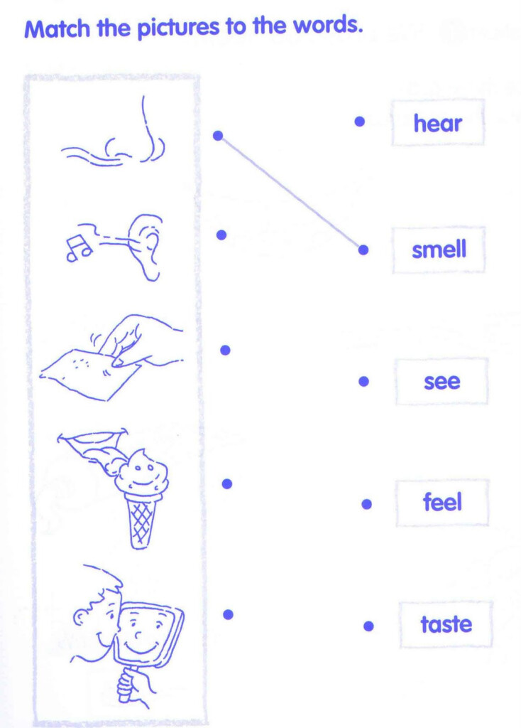 Koh Lee Ching D 20102041772 EL W03 Science Year 1 Worksheets Of 