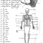 Life Science 7th Grade Worksheets