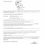 Life Science Worksheet Printable