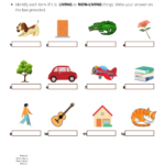 Living And Non Living Things Worksheets