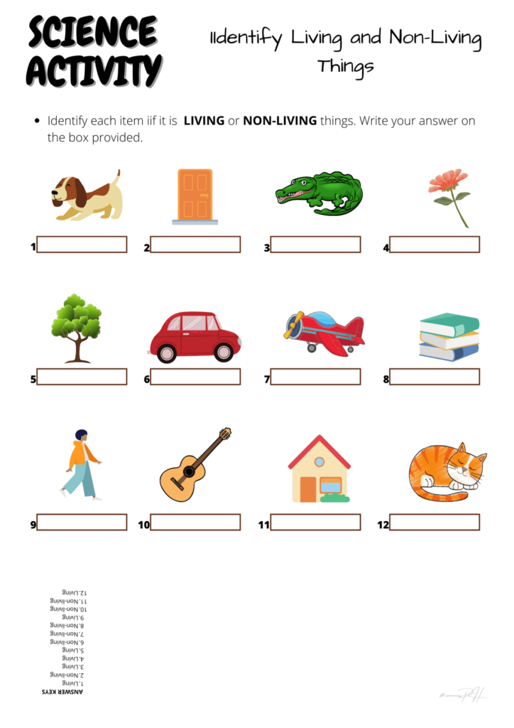 Living And Nonliving Things Worksheet