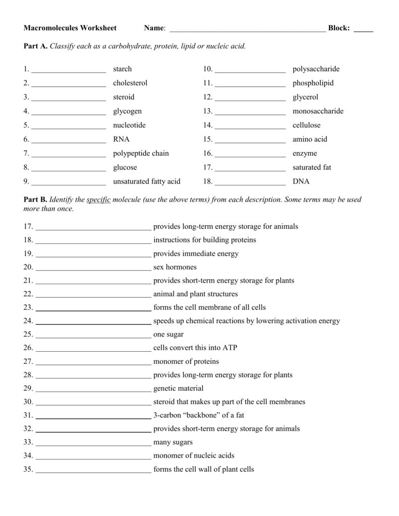 Macromolecule Worksheet 2 Answer Key