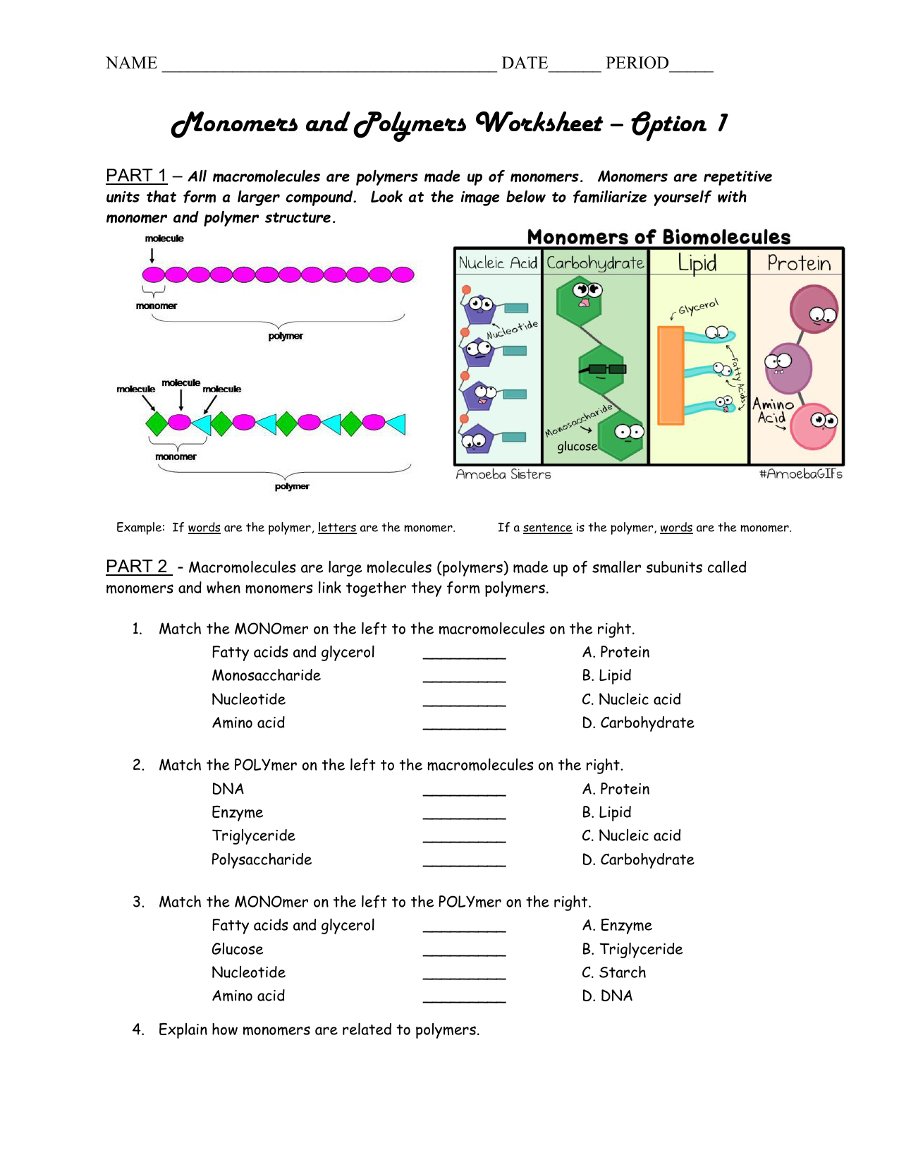 Macromolecule Worksheet Answer Key Pdf