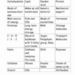 Macromolecules Identification Worksheet Answers