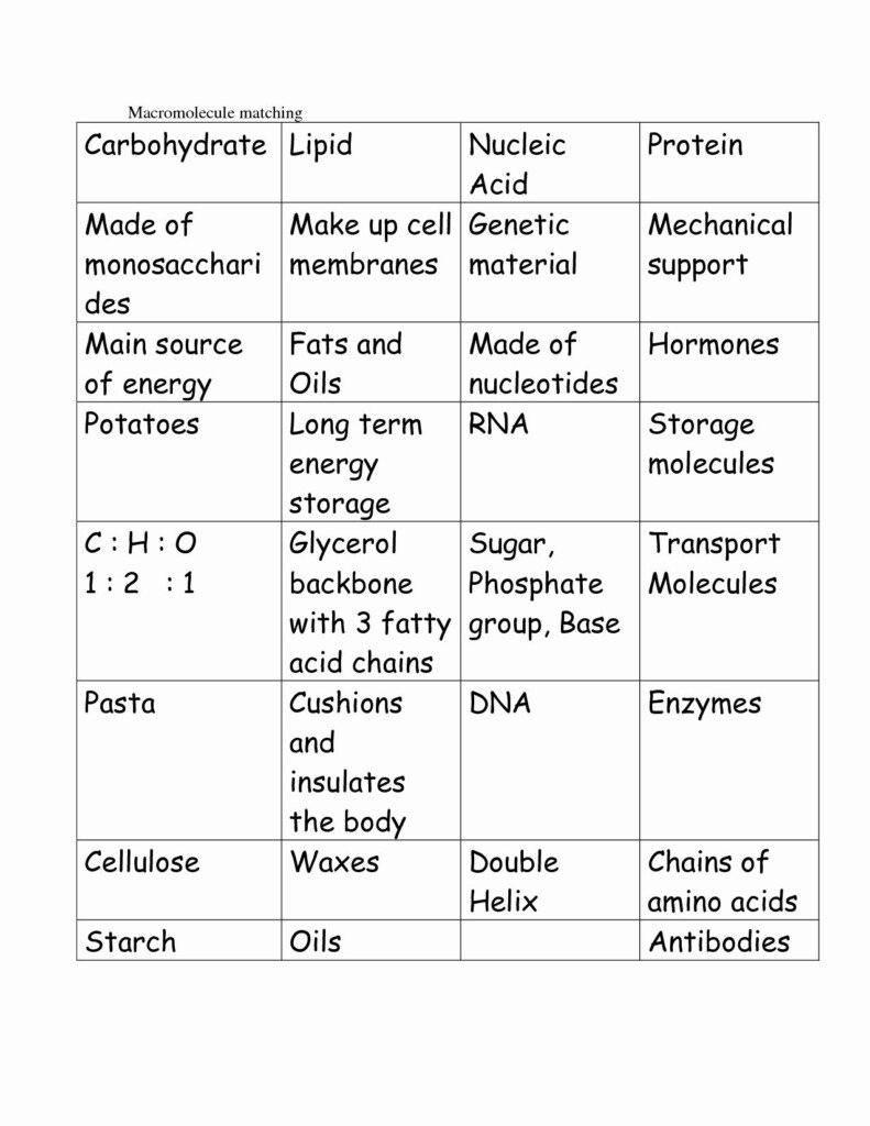 Macromolecules Identification Worksheet Answers