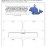 Main Details Whales Worksheet By Teach Simple