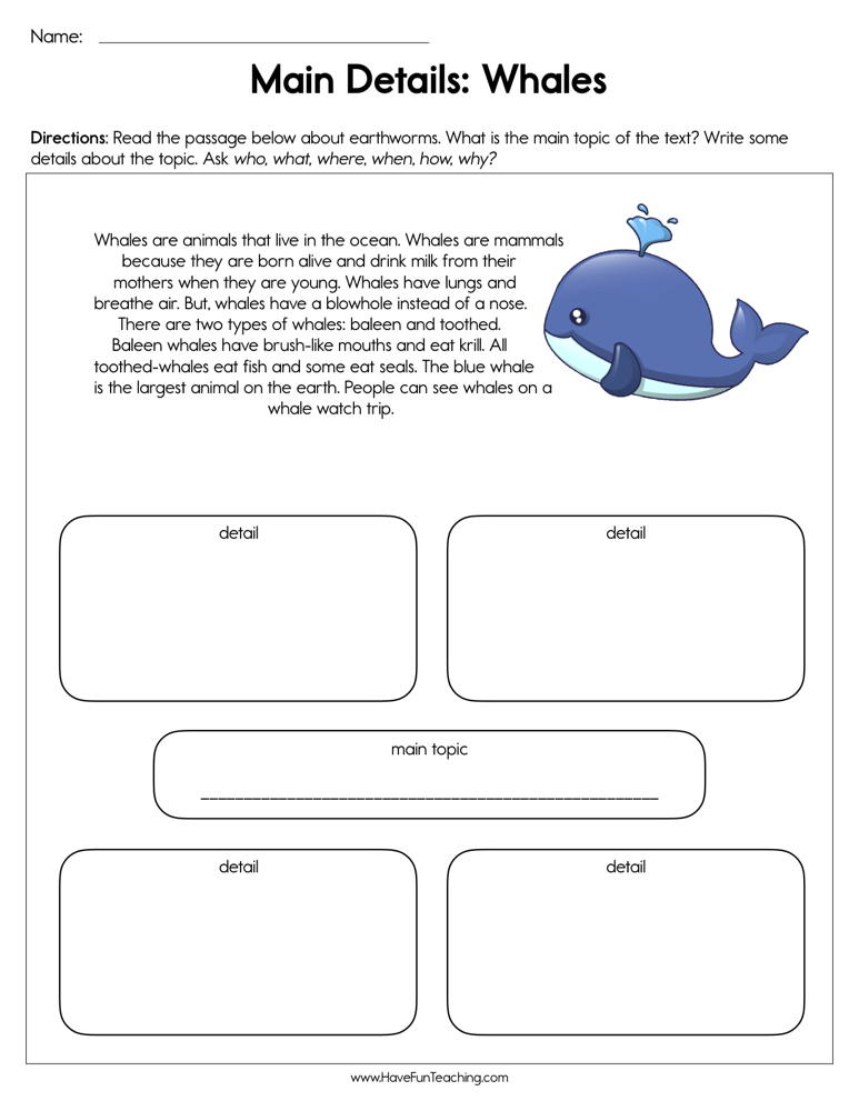 Main Details Whales Worksheet By Teach Simple