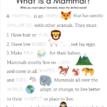 Mammal Characteristics Worksheet