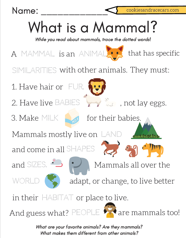 Mammal Characteristics Worksheet