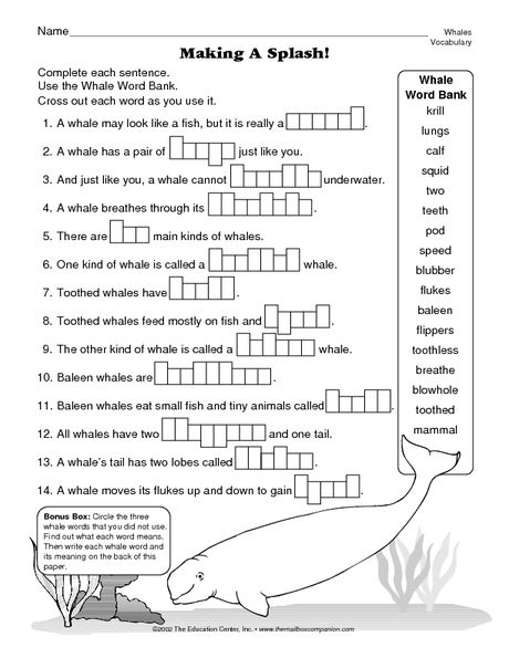 Marine Biology Worksheets