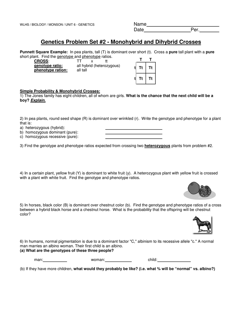 Monohybrid Cross Practice Worksheet Answer Key Organicked