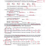 Monohybrid Cross Worksheet Answer Key