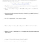 Mutation The Science Of Survival Worksheet Answer Key