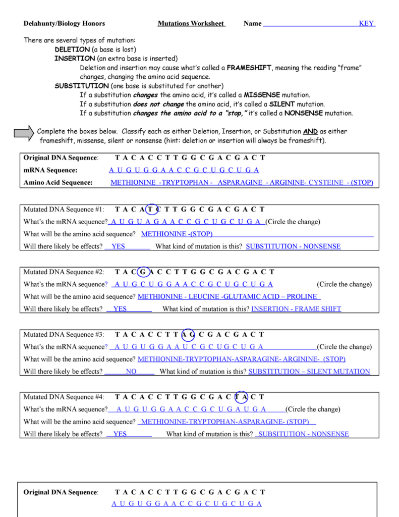 Mutations Worksheet Answer Key Biology