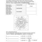 Mutations Worksheet Answer Key Fill Online Printable Fillable