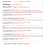 Mutations Worksheet Part 1 Gene Mutations Answer Key