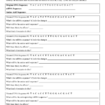 Mutations Worksheet Part 1 Gene Mutations Answer Key