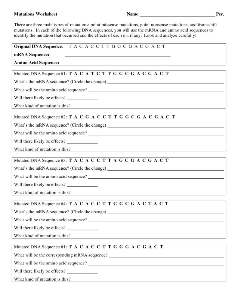 Mutations Worksheet Part 1 Gene Mutations Answer Key