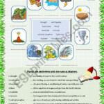 Natural Disasters Worksheet Answers