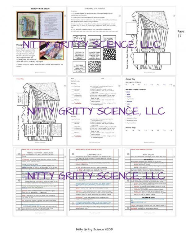 Nitty Gritty Science Worksheet Answers
