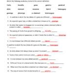 Not Rocket Science Worksheet