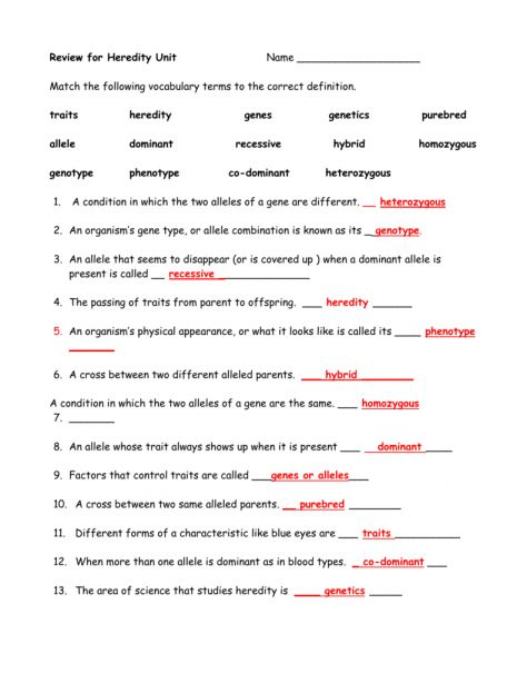 Not Rocket Science Worksheet