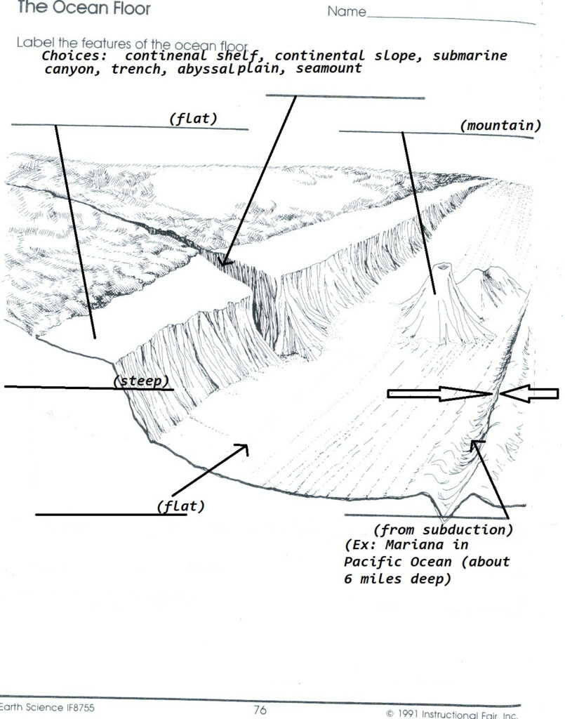 Ocean Floor Worksheet