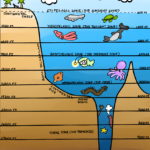 Ocean Layers Worksheet