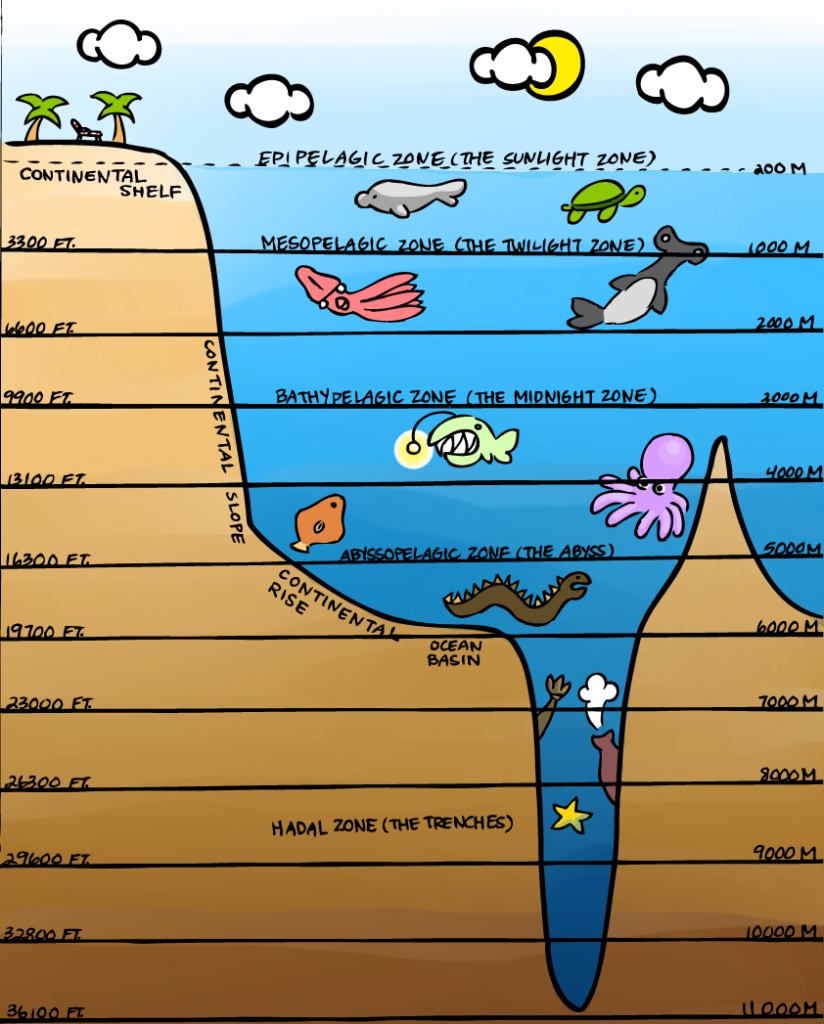 Ocean Layers Worksheet