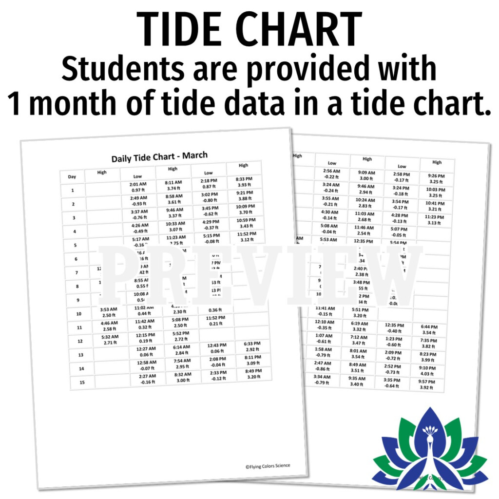 Ocean Tides Worksheet Using A Tide Chart Activity Flying Colors Science