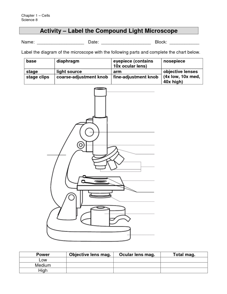 Parts Of A Microscope Worksheet