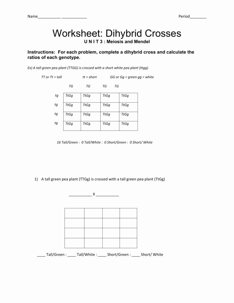 Pea Plant Punnett Squares Worksheet Answer Key Keystone Scie