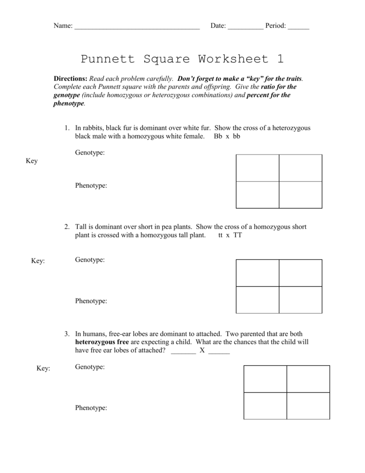 Pea Plant Punnett Squares Worksheet Answer Key