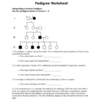 Pedigree Worksheet Interpreting A Human Pedigree