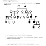 Pedigree Worksheets With Answers