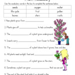 Plant Vocabulary Worksheet Have Fun Teaching